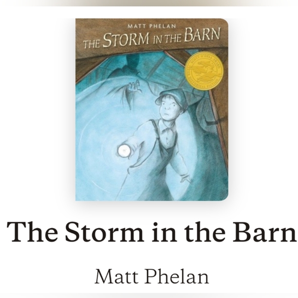 The Storm in the Barn by M.Phelan, Hardback Graphic Novel, Used - Picture 11 of 11